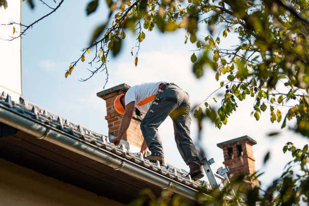 Roof Gutter Cleaning in Indian Rocks Beach, FL